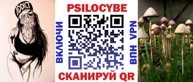 купить   mega маркетплейс  Галлюциногенные грибы GOLDEN TEACHER  Алагир 