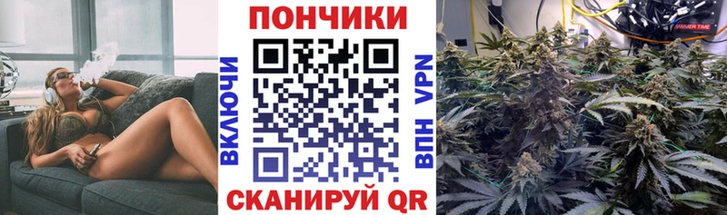 Канабис индика  Алагир 